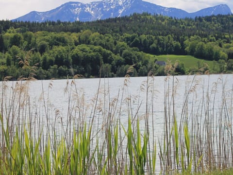 Water, Water Resources, Plant, Ecoregion, Sky, Natural Landscape, Natural Environment, Mountain, Lake, Vegetation