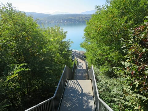 Sky, Water, Natural Landscape, Nature, Leaf, Vegetation, Sunlight, Biome, Tree