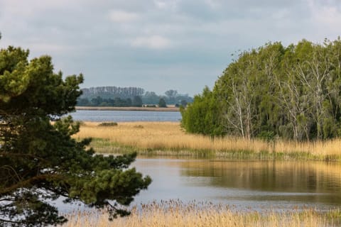 A peaceful landscape of coastal greenery and water, perfect for nature enthusiasts.