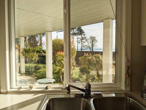 View from the kitchen window.