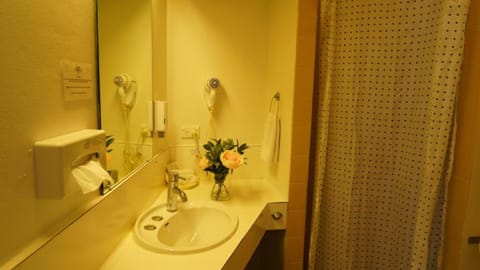 Standard Room (Standard Twin) | Bathroom | Shower, free toiletries, towels