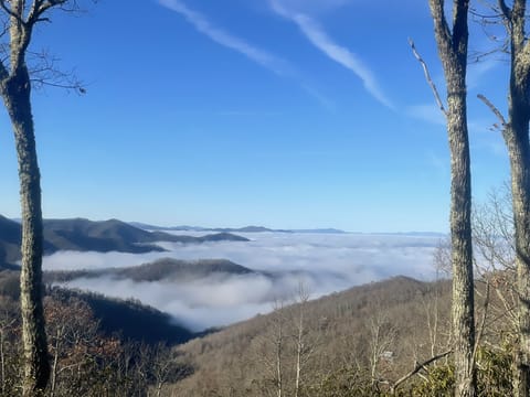 Winter View from the Deck