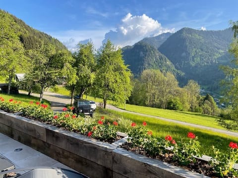 View from hottub on terrace
