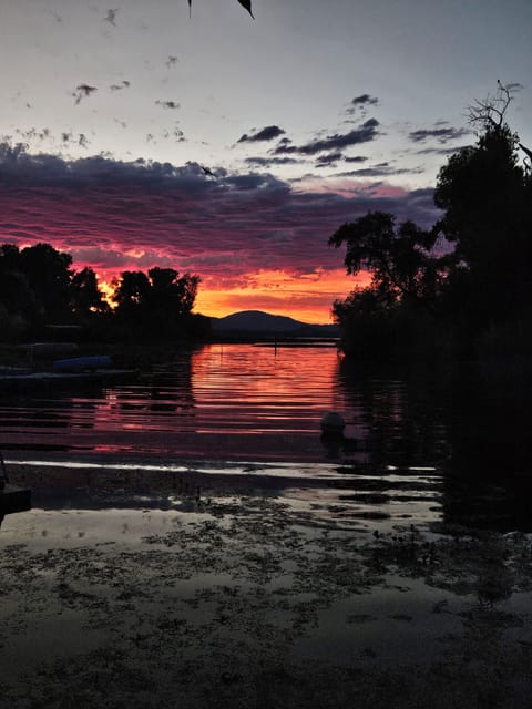 Mid-Summers Night
