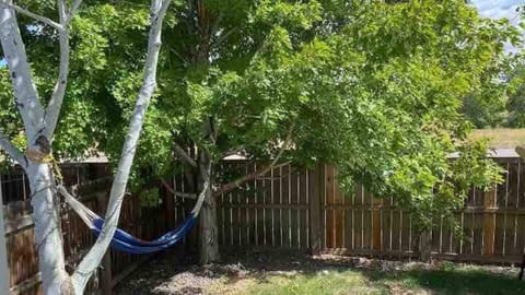 Two hammocks: USE WITH CAUTION