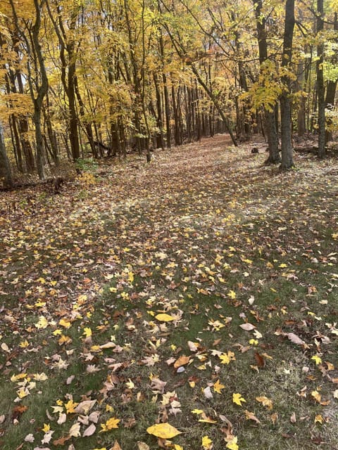 Trails for walking and sightseeing.