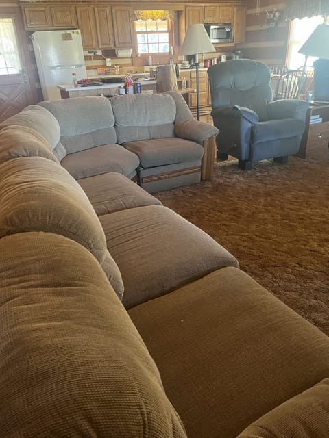 Living room with a hide a bed. 