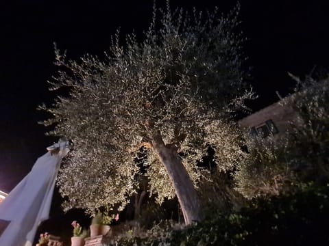 House, 3 Bedrooms, Balcony, Garden View | Property grounds