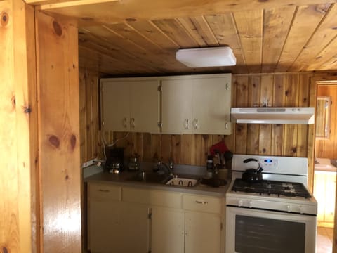 Comfort Cabin | Private kitchen | Mini-fridge, microwave