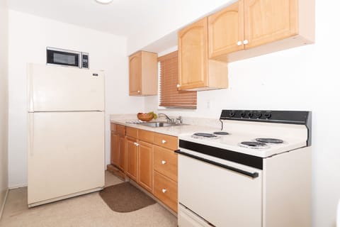 Family Apartment | Private kitchen | Fridge, microwave, oven, coffee/tea maker