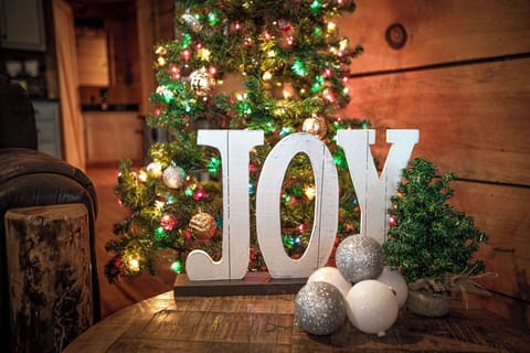 The living room is decorated to bring you holiday joy.