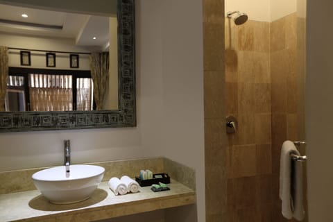 Deluxe Room | Bathroom | Shower, free toiletries, hair dryer, towels