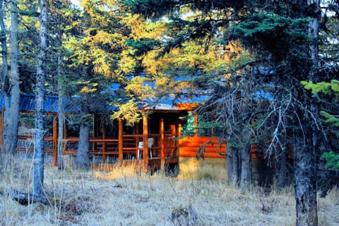 Moose Cabin | View from room