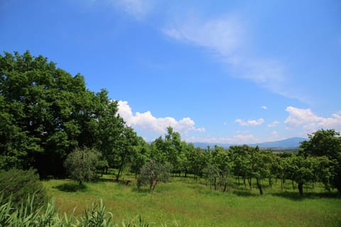 Immediate Surroundings [summer] (<1 km)