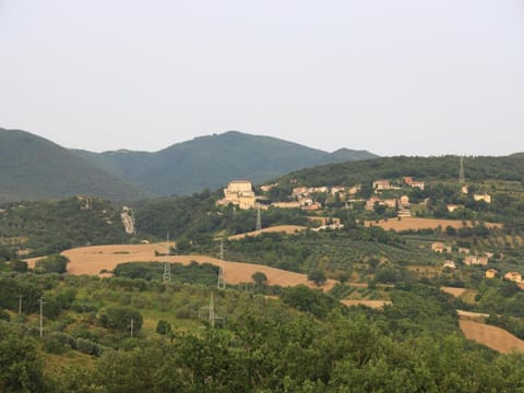 Region [summer] (>5 km)