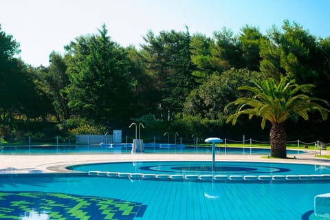 Holiday Park Facilities and Services 