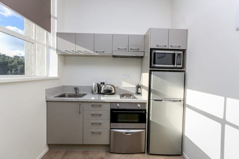 One Bedroom Executive Apartment  | Private kitchen | Microwave, dishwasher, coffee/tea maker, electric kettle