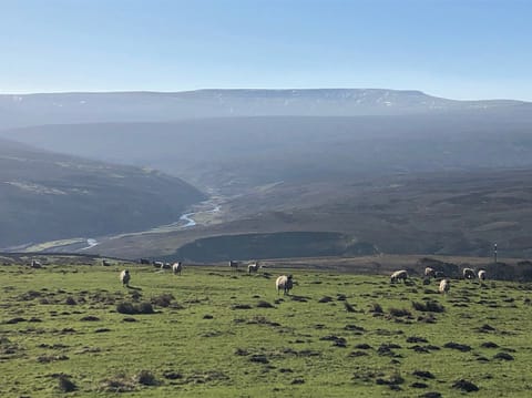 Walkers paradise with iconic views of Cross Fell | Robsons Cottage, Alston