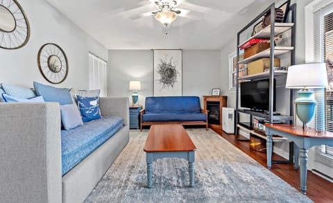 Lower level family room