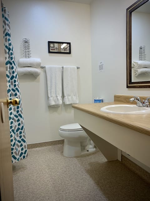 Premium Suite | Bathroom | Combined shower/tub, free toiletries, towels, soap