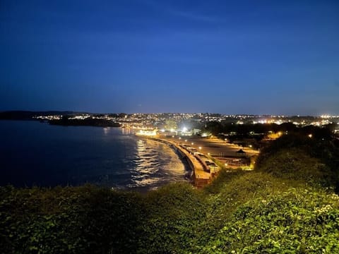 View of Goodrington at night 