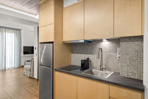 Deluxe Loft | Private kitchen | Stovetop, cookware/dishes/utensils, freezer