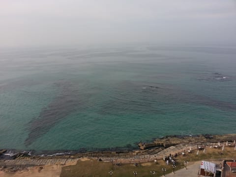 Beach/ocean view