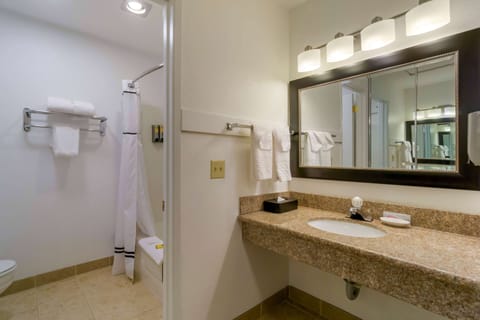 Room, 1 King Bed, Non Smoking | Bathroom | Combined shower/tub, free toiletries, hair dryer, towels