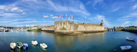 Apartment 100m from the beach and thalasso baths Apartment in Concarneau