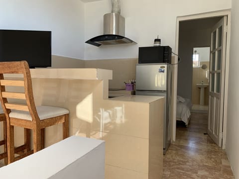 Deluxe Apartment | Private kitchen | Full-size fridge, microwave, stovetop, dishwasher