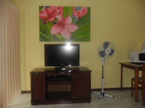 Flat-screen TV, DVD player