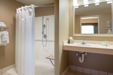 Suite, 1 King Bed, Accessible (Roll-In Shower) | Room amenity