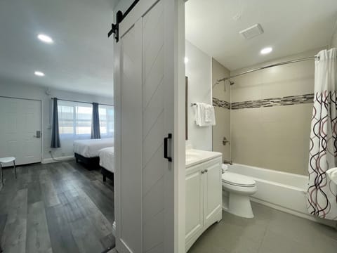 Premium Twin Room | Bathroom | Combined shower/tub, hydromassage showerhead, hair dryer, towels