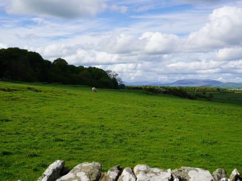 Cottage | Miscellaneous