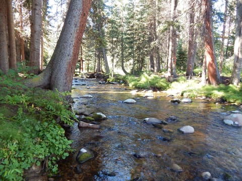 StayWinterParkCreekside creek unit 502