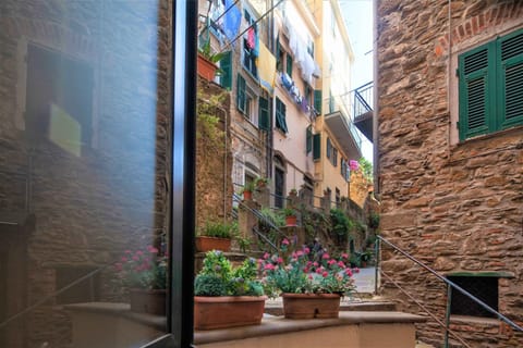 View from the kitchen window