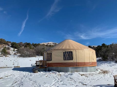 Yes, we shovel and plow for you (unless you enjoy that kind of thing)