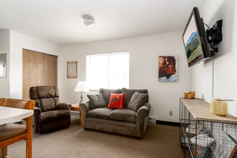 Basic Apartment | Living area | 40-inch flat-screen TV with satellite channels, TV