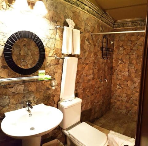 Standard Double Room | Bathroom | Shower, hair dryer, towels, soap