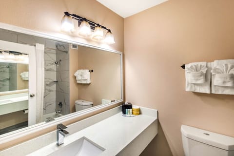 Suite, 1 King Bed, Non Smoking | Bathroom | Combined shower/tub, free toiletries, hair dryer, towels