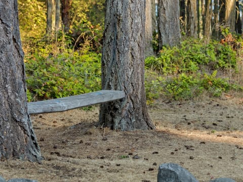 Woods surround the property