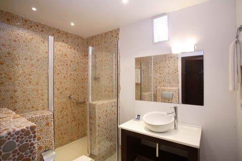 Deluxe Double Room | Bathroom | Shower, hair dryer, towels