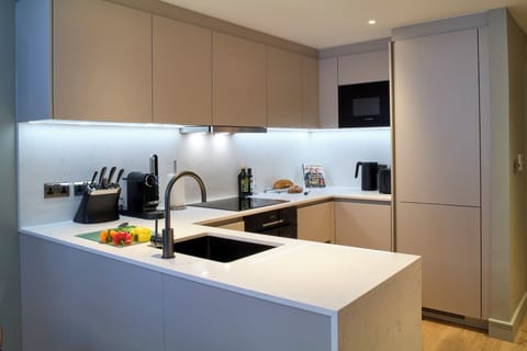 Deluxe One Bedroom Apartment with Sofa Bed | Private kitchen | Full-size fridge, microwave, stovetop, dishwasher