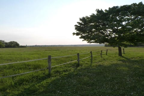 Region [summer] (&gt;5 km)