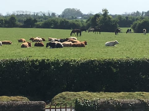 set on a working Farm