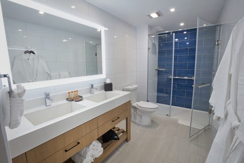 Premium Single Room, 1 King Bed | Bathroom | Shower, rainfall showerhead, free toiletries, hair dryer