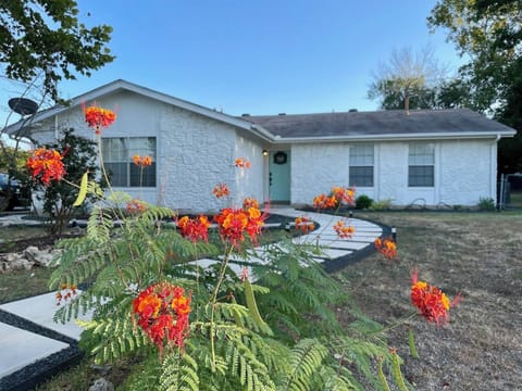 Seasonal landscaping pops up to say hello! Our home is easily recognizable as it is white. Look for parking on the left side of the house. 
