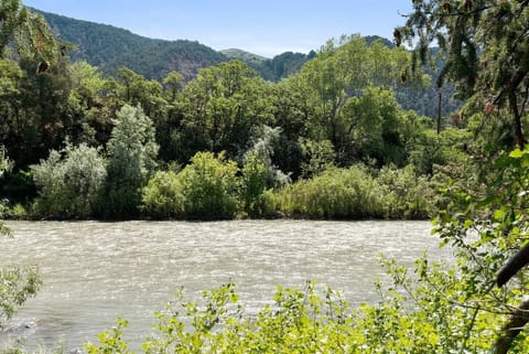 The view from the bottom of the stairs to the river