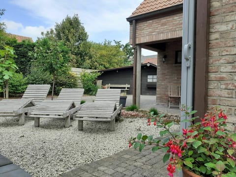 Plant, Flower, Cloud, Property, Sky, Building, Road Surface, Architecture, Tree, Outdoor Furniture