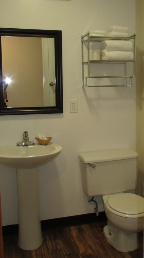 Combined shower/tub, hair dryer, towels